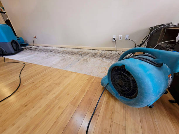 Professional Burst Pipe Water Damage technician working in Chloride, AZ